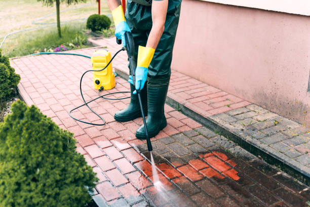 Best Pressure Washing Company Near Me  in Audubon, IA