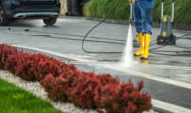 Best Residential Pressure Washing Services  in Audubon, IA
