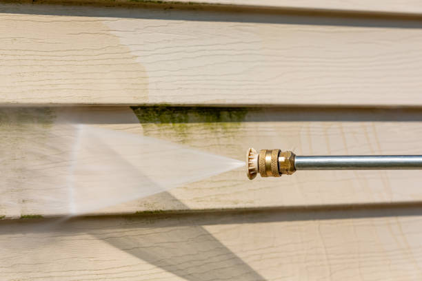 Best Roof Pressure Washing  in Audubon, IA
