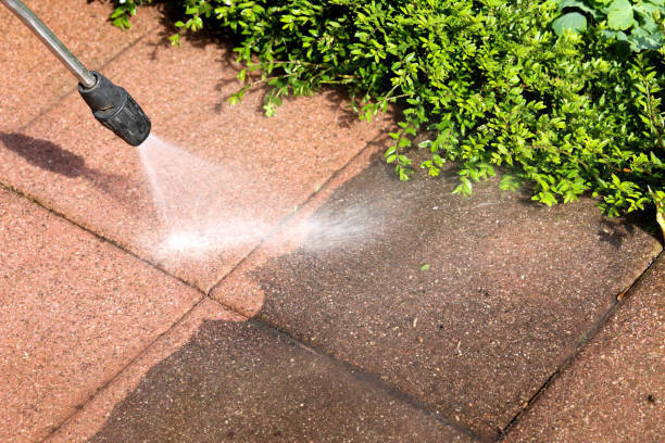 Best Deck Cleaning Services  in Audubon, IA